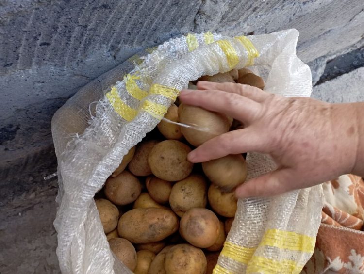 Կարտոֆիլը մեկ ամսվա ընթացքում թանկացել է 8.3%-ով