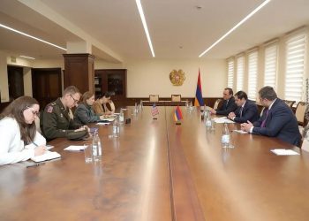 Պապիկյանն ԱՄՆ դեսպանի հետ քննարկել է հայ-ամերիկյան համագործակցության ընթացիկ խնդիրները