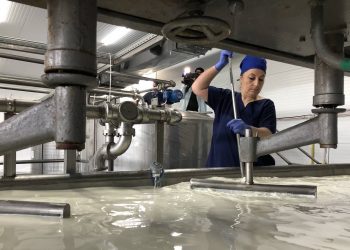 На Ставрополье запустили производство армянских сыров