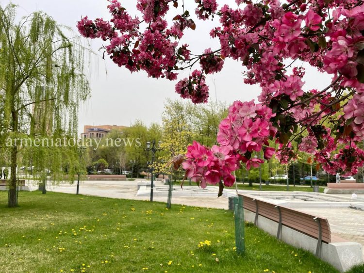 Օդի ջերմաստիճանն աստիճանաբար կնվազի մինչև 7 աստիճանով