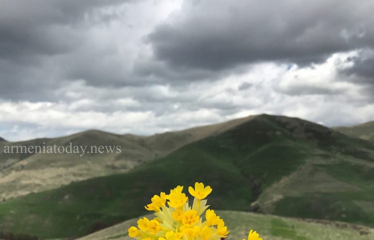 Օդի ջերմաստիճանն այսօր կնվազի 7-10 աստիճանով