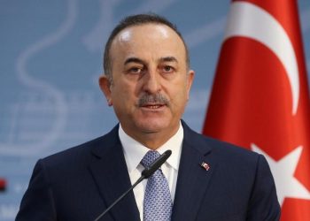 Հայաստանը պետք է պատասխանի Ադրբեջանի բարի կամքին. Չավուշօղլու