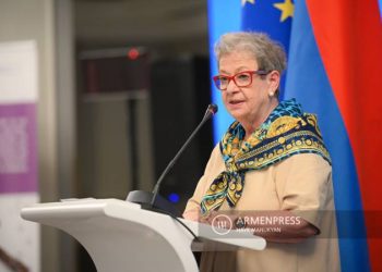 ԵՄ դեսպանը բոլոր կողմերին կոչ է անում չլարել ներքաղաքական իրավիճակը