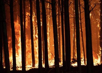 Խոշոր հրդեհ Ադրբեջանում. ստիպված են եղել բնակիչներին տարհանել