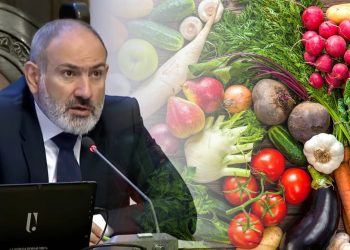 Գյուղատնտեսական արտադրանքի անկում ունենք․ Փաշինյան