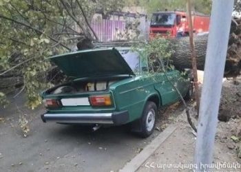 Քամու հետևանքով Չարենցավանում, Երևանում վնասվել են շինությունների տանիքներ, կոտրվել են ծառեր