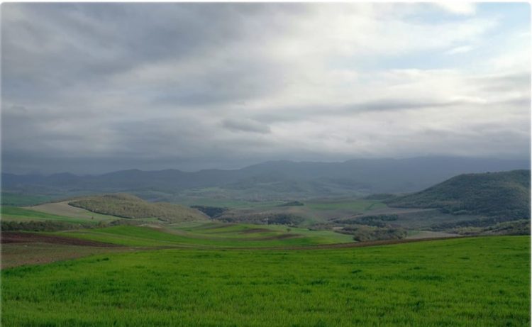 Ադրբեջանական դիրքից կրակ է արձակվել  քաղաքացիական անձանց ուղղությամբ. Արցախի ՆԳՆ