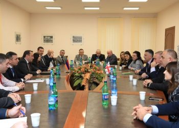 Վրաստանի պատվիրակությանը ներկայացվել է բրիֆինգ ՀՀ պաշտպանական քաղաքականության վերաբերյալ