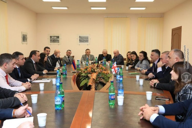 Վրաստանի պատվիրակությանը ներկայացվել է բրիֆինգ ՀՀ պաշտպանական քաղաքականության վերաբերյալ