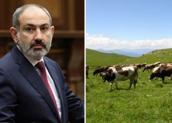 Այսօրվա մեր գյուղատնտեսությունը կարծես «դինոզավրերի» ֆերմա ստեղծելու փորձ լինի, հեռանկարներ չունի. Փաշինյան