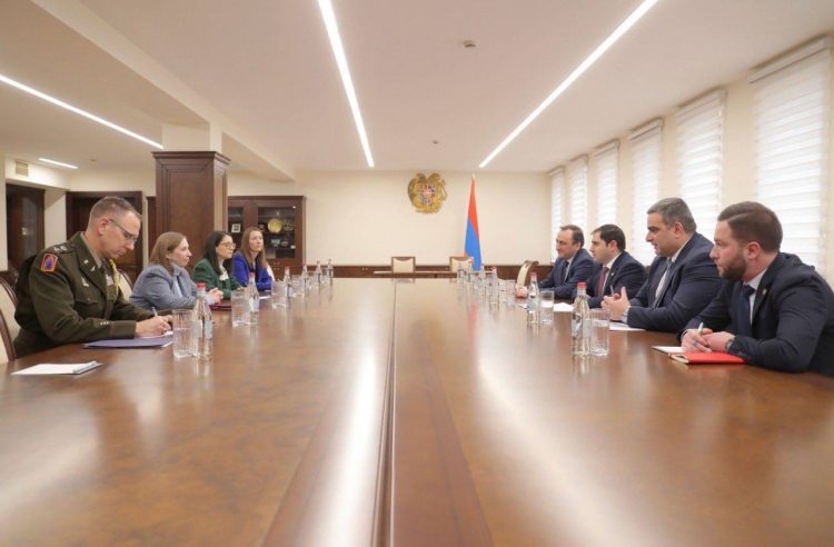 Պապիկյանը ԱՄՆ դեսպանին է ներկայացրել Լաչինի միջանցքի փակման մարտահրավերները