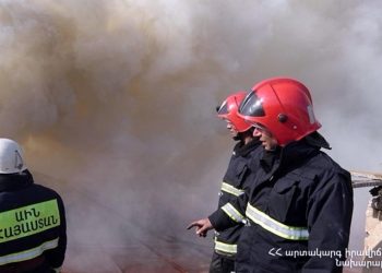 Հրդեհ Երևանում. ավելի քան 140 կենդանի է սատկել