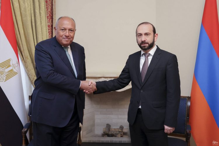 Ադրբեջանն էթնիկ զտման նպատակ ունի.  Միրզոյանը՝ Եգիպտոսի ԱԳ նախարարին
