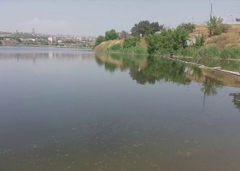 Փրկարարները Երևանյան լճից քաղաքացու դի են դուրս են բերել