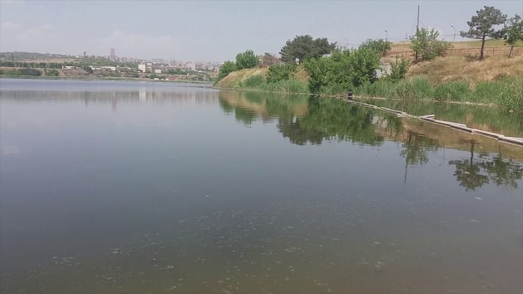 Փրկարարները Երևանյան լճից քաղաքացու դի են դուրս են բերել