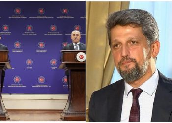 Ցանկանում եմ, որ համերաշխությունը դառնա մշտական. Փայլանը՝ Միրզոյանի այցի մասին