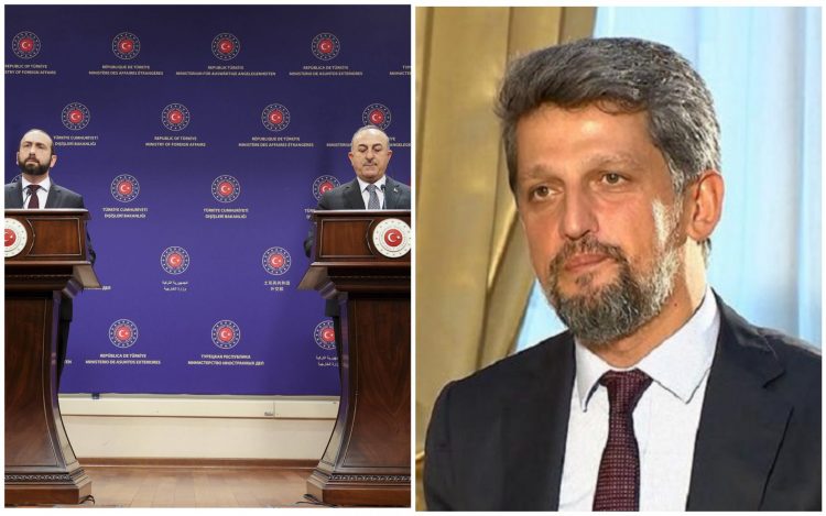Ցանկանում եմ, որ համերաշխությունը դառնա մշտական. Փայլանը՝ Միրզոյանի այցի մասին