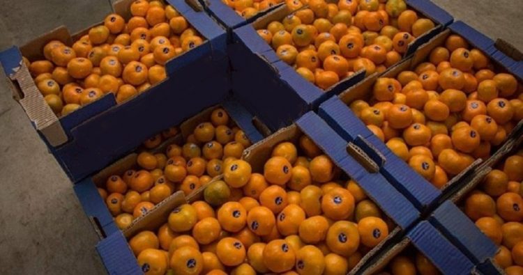 СНБ выявила на прилавках в Арцахе турецкие продукты