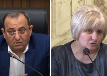 Սեդա Սաֆարյանն իրենց սիրելին է, հետևաբար օրենքը կարևոր չէ. Արծվիկ Մինասյան