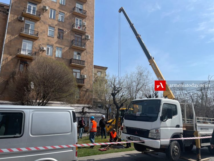 В Ереване прошла акция протеста против вырубки деревьев, мэрия заявила о планах по посадке сакуры