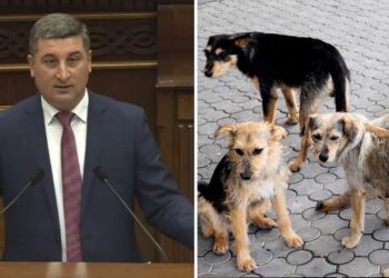 Երեխայի ծնունդը ընտանիքի համար դարձնում ենք գումար ստանալու միջոց. Նիկոլ Փաշինյան