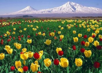 Օդի ջերմաստիճանը կբարձրանա 13-16 աստիճանով