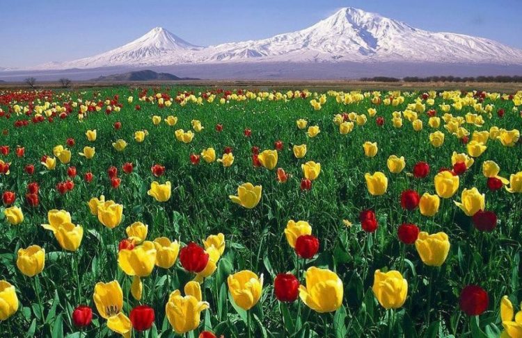 Օդի ջերմաստիճանը կբարձրանա 13-16 աստիճանով