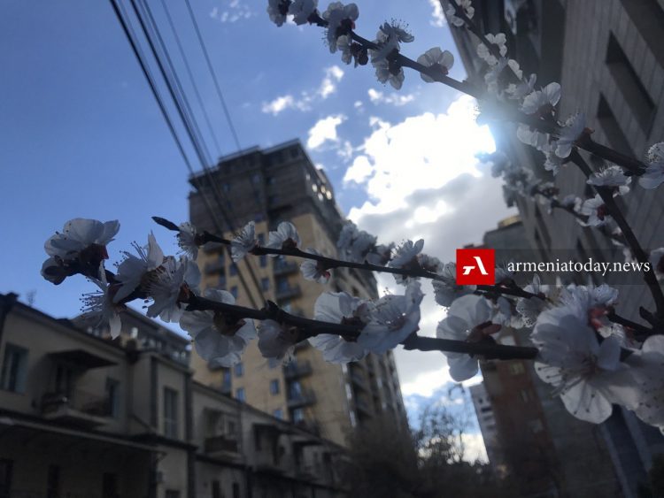 В церквях Армении и Диаспоры проходит общенациональная молитва за Арцах (прямое включение)