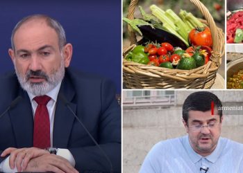 «150 միլիարդ փող ենք տվել». Փաշինյանը կնոջը քննադատող արցախցի պաշտոնյաներին կոչ է արել սմբուկ աճեցնել