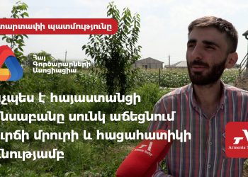 «Ստուգում եմ պարկերը, զրուցում նրանց հետ». ինչպես է հայաստանցի կենսաբանը սունկ աճեցնում սուրճի մրուրի և հացահատիկի օգնությամբ (տեսանյութ, լուսանկարներ)