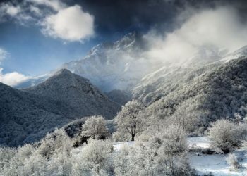 Հայ լուսանկարիչը հաղթել է «Planet Earth Life Framer» միջազգային մրցույթում
