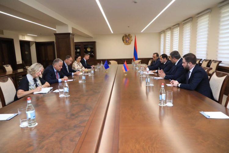Պապիկյանն ու Կլաարը քննարկել են վերջին օրերի իրադարձությունները և տարածաշրջանային հարցեր