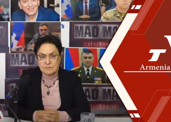 Проходит пресс-конференция экс-омбудсмена Армении Ларисы Алавердян (прямое включение)