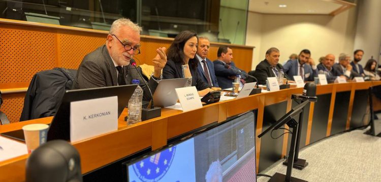 В Европарламенте обсудили роль ЕС в обеспечении прав армян Нагорного Карабаха