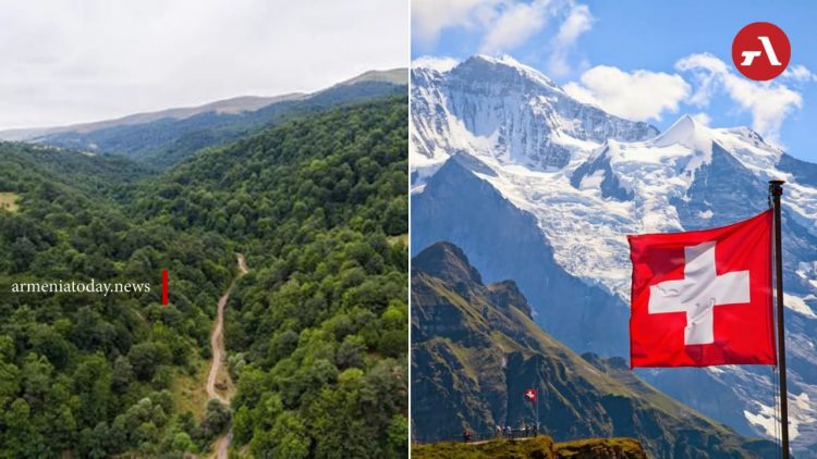 Շվեյցարիան 11,5 մլն դոլար կհատկացնի Հայաստանում անտառների վերականգնման տասնամյա ծրագրի համար