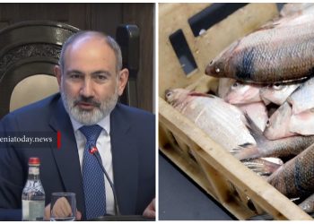 Հայաստանը 6 ամսով արգելք է սահմանել սիգի ձկնկիթի արտահանման վրա