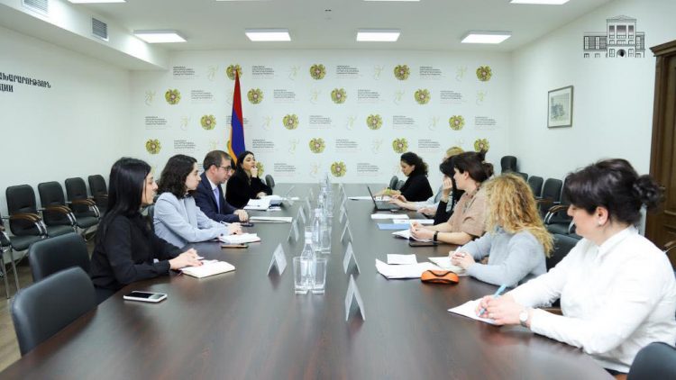 Արդարադատության նախարարը ԵԽ գործընկերների հետ քննարկել է տեղահանված անձանց իրավունքների ամրապնդմանը վերաբերող հարցեր