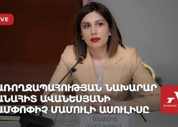 Առողջապահության նախարար Անահիտ Ավանեսյանի ամփոփիչ մամուլի ասուլիսը (ուղիղ)
