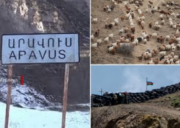 ՊՆ-ն պարզաբանել է ոչխարների՝ ադրբեջանական կողմ անցնելու վերաբերյալ տեղեկատվությունը