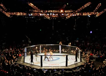 Հայազգի MMA մարզիկները հաղթանակներ են տարել Կրասնոդարում ընթացող մրցաշարում
