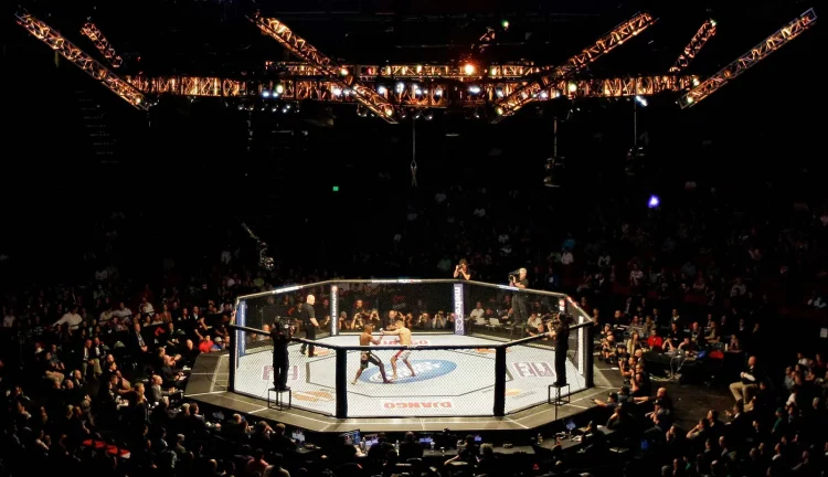 Հայազգի MMA մարզիկները հաղթանակներ են տարել Կրասնոդարում ընթացող մրցաշարում