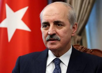 Թուրքիայի խորհրդարանի նախագահը հայկական Սփյուռքին  «խաղաղություն չցանկանալու» մեջ է մեղադրել