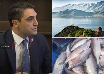 Կառավարությունը սահմանել է Սևանից սիգի որսի նոր քվոտան