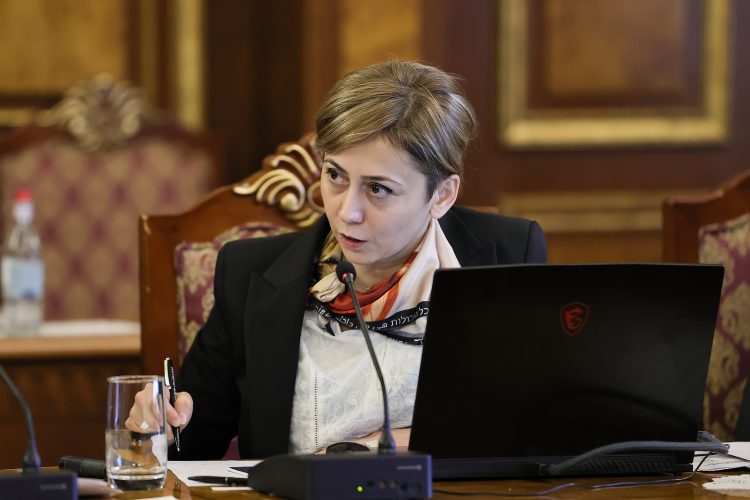 Երևանում մեկնարկել է YSAF-ի «վայրի արվեստ» երաժշտական ​​փառատոնը