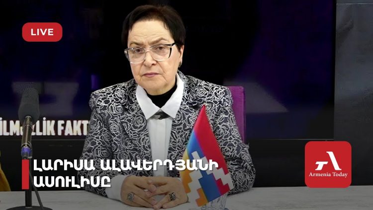 Проходит пресс-конференция экс-омбудсмена Армении Ларисы Алавердян (прямое включение)