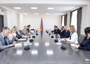 Միրզոյանն ու Կուպմանը քննարկել են տարածաշրջանային անվտանգային հարցեր