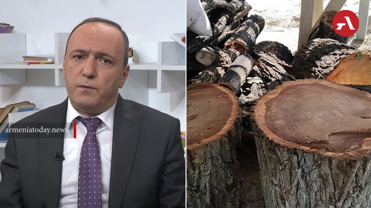 «Ազգային առաջընթաց»-ն Արմեն Բեգոյանի հրաժարականի պահանջով դիմում է ներկայացրել Ավինյանին