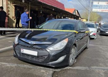Երևանում մեկնարկել է YSAF-ի «վայրի արվեստ» երաժշտական փառատոնը