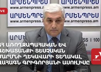 ՀՀ առողջապահական և աշխատանքի տեսչական մարմնի ղեկավարի տեղակալ Վահագն Գրիգորյանի ասուլիսը (ուղիղ)