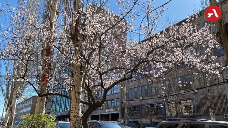 Погода в Армении и в Арцахе 17 мая: ожидается облачная погода с прояснениями